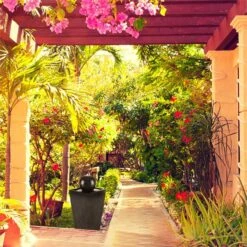 Königsbrunn Springbrunnen Solar 200 L/h LED Akku Basaltoptik -Outdoor Grills Store 10029040 yy 0004 ambient Blumfeldt Koenigsbrunn Solar Springbrunnen reedit