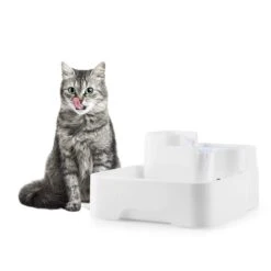 Lake Lassie Haustiertränke Tierbrunnen 4L Pumpe Aktivkohlefilter -Outdoor Grills Store 10031380 yy 0003 ambient oneConcept Lake Lassie Haustiertraenke