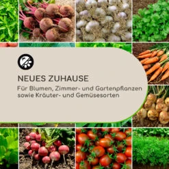 Winegrow Pflanzgefäß 52,5 X 31,5 Cm (ØxH) Leicht Fibreclay Grau -Outdoor Grills Store 10034811 de 0003 logo