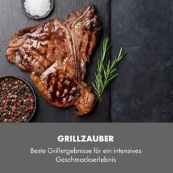Steakreaktor Core Indoor Grillgerät Hochtemperaturgrill 2100W 800°C -Outdoor Grills Store 10035085 de 0007 logo
