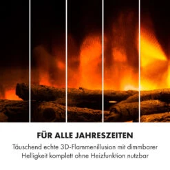 Heat 'n Beat Elektrischer Kamin 900/1800W LED Bluetooth-Speaker Flammenillusion -Outdoor Grills Store 10035262 de 0007 logo