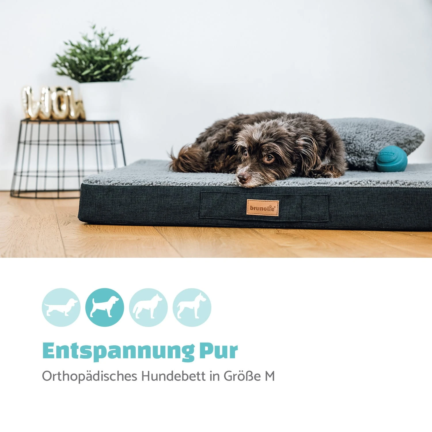 Balu Hundebett Waschbar Orthopädisch Rutschfest Memory-Schaum Größe M 2 Balu Hundebett Waschbar Orthopädisch Rutschfest Memory-Schaum Größe M – Bild 2