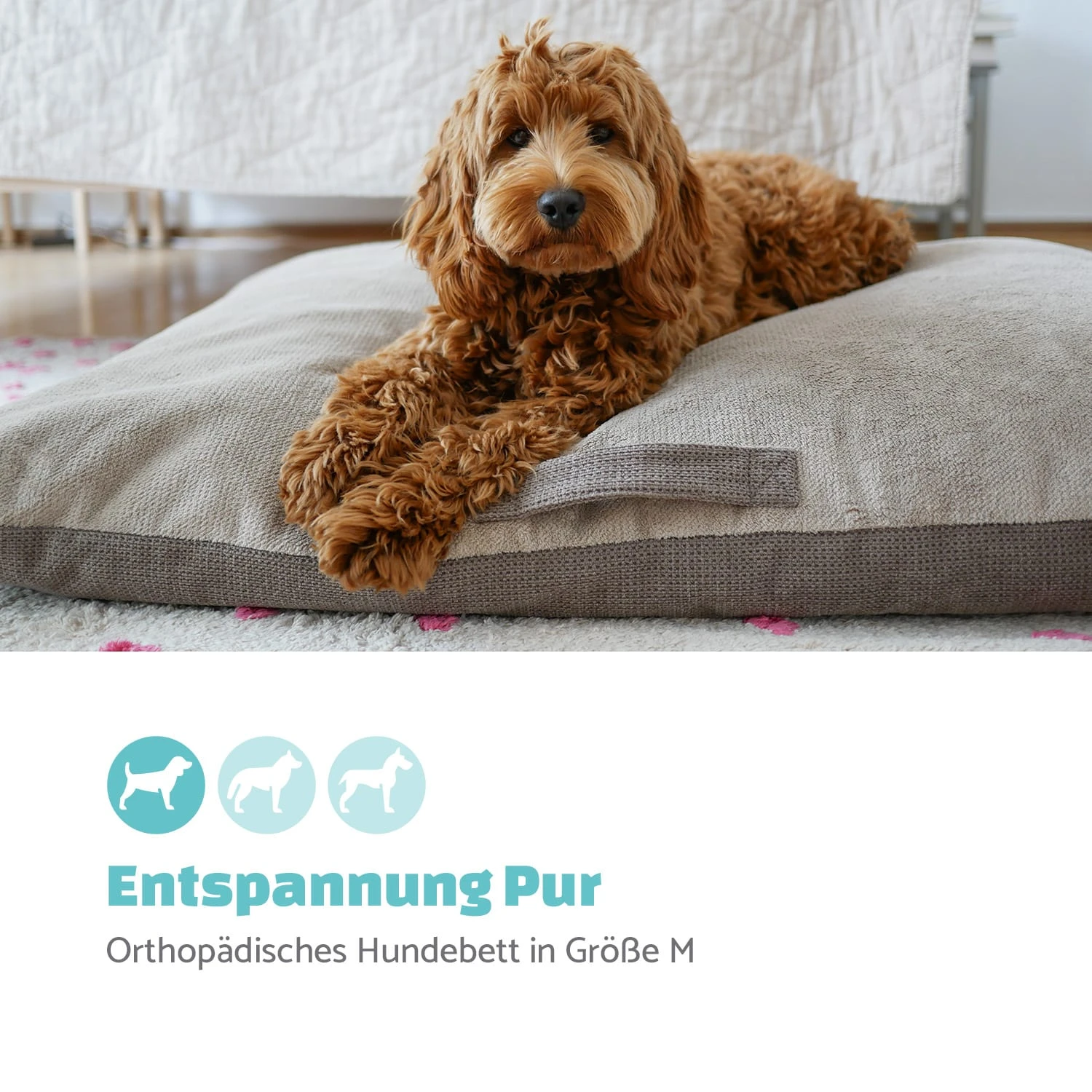 Henry Hundebett Waschbar Orthopädisch Rutschfest Atmungsaktiv Größe M 2 Henry Hundebett Waschbar Orthopädisch Rutschfest Atmungsaktiv Größe M – Bild 2