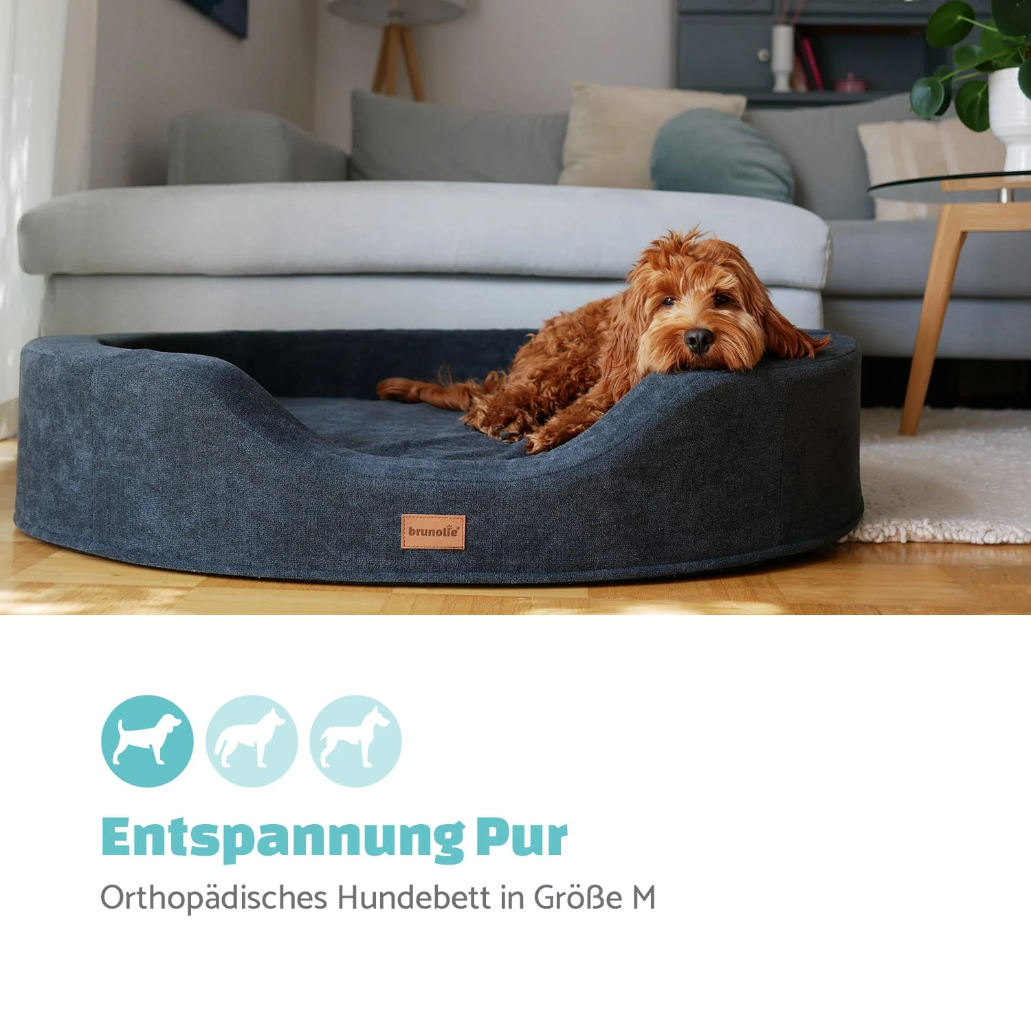 Lotte Hundebett Waschbar Orthopädisch Rutschfest Atmungsaktiv Größe M 2 Lotte Hundebett Waschbar Orthopädisch Rutschfest Atmungsaktiv Größe M – Bild 2