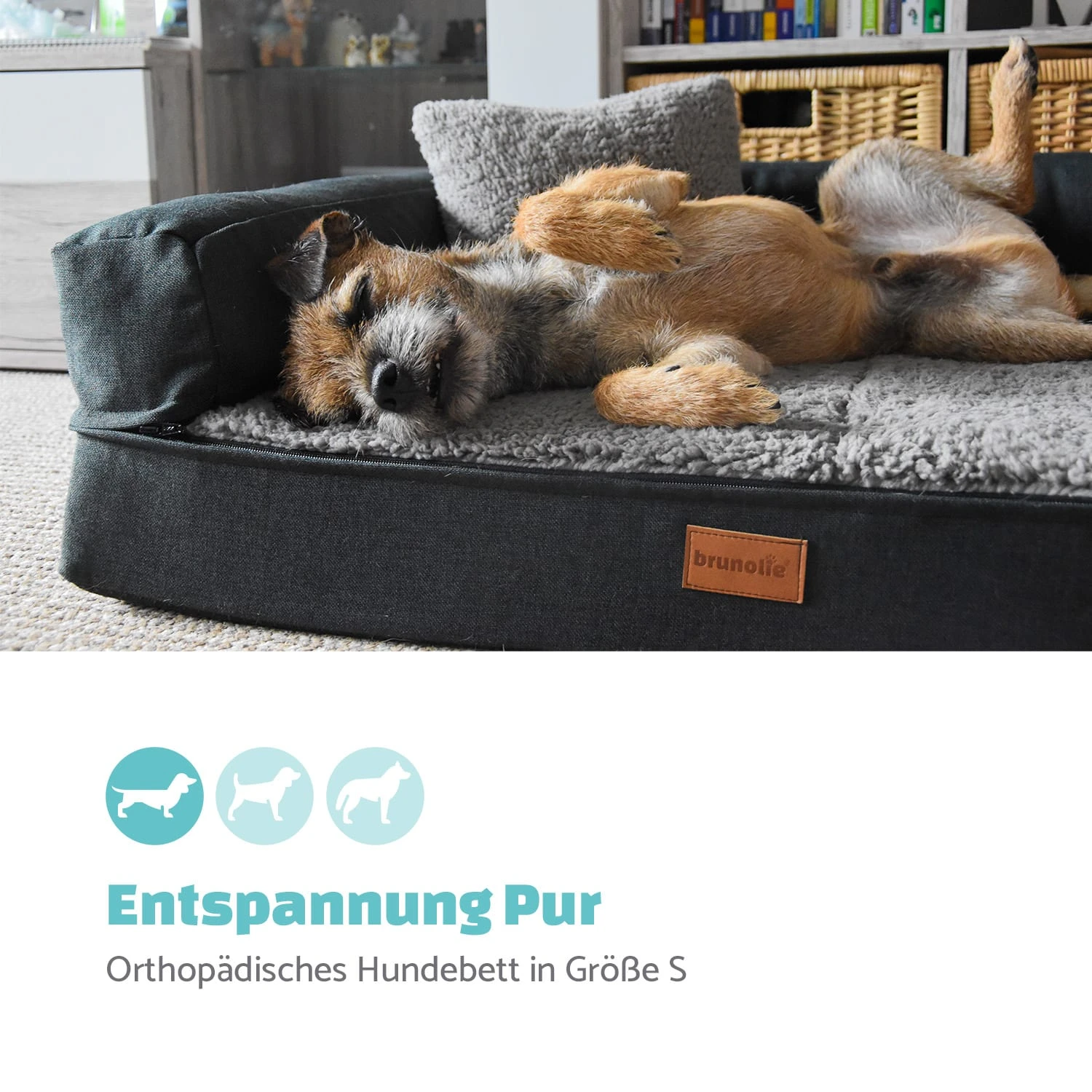 Odin Hundesofa Hundematte | Waschbar | Orthopädisch | Rutschfest | Atmungsaktiv | Memory-Schaum | Größe S (80 X 10 X 60 Cm) 2 Odin Hundesofa Hundematte | Waschbar | Orthopädisch | Rutschfest | Atmungsaktiv | Memory-Schaum | Größe S (80 X 10 X 60 Cm) – Bild 2