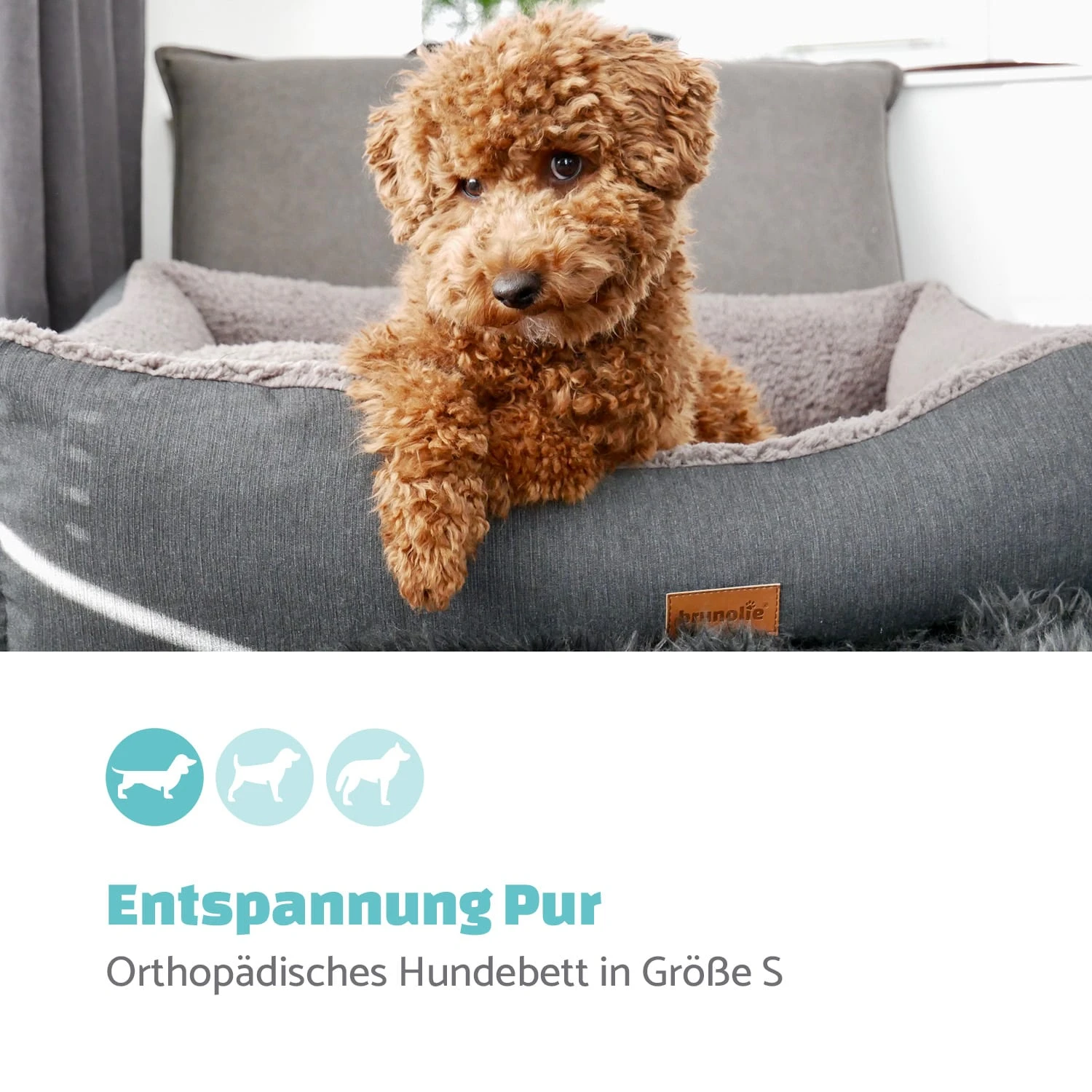Emma Hundebett Hundekorb | Waschbar | Rutschfest | Atmungsaktiv | Wendematratze | Kissen | Größe S (67 X 20 X 59 Cm) 2 Emma Hundebett Hundekorb | Waschbar | Rutschfest | Atmungsaktiv | Wendematratze | Kissen | Größe S (67 X 20 X 59 Cm) – Bild 2