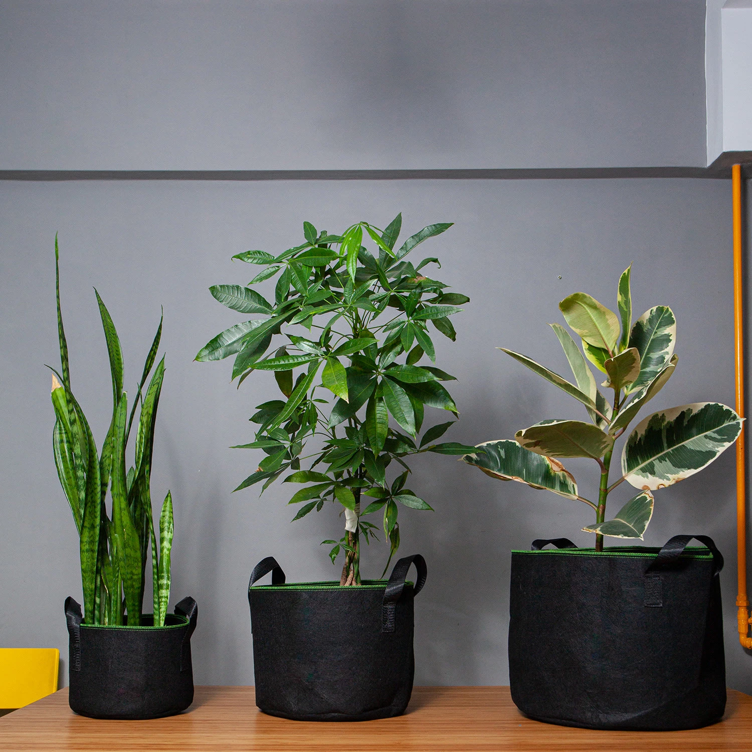 Pflanzsack Set 5 Stück 60 Liter Vlies Mit Henkeln 2 Pflanzsack Set 5 Stück 60 Liter Vlies Mit Henkeln – Bild 2