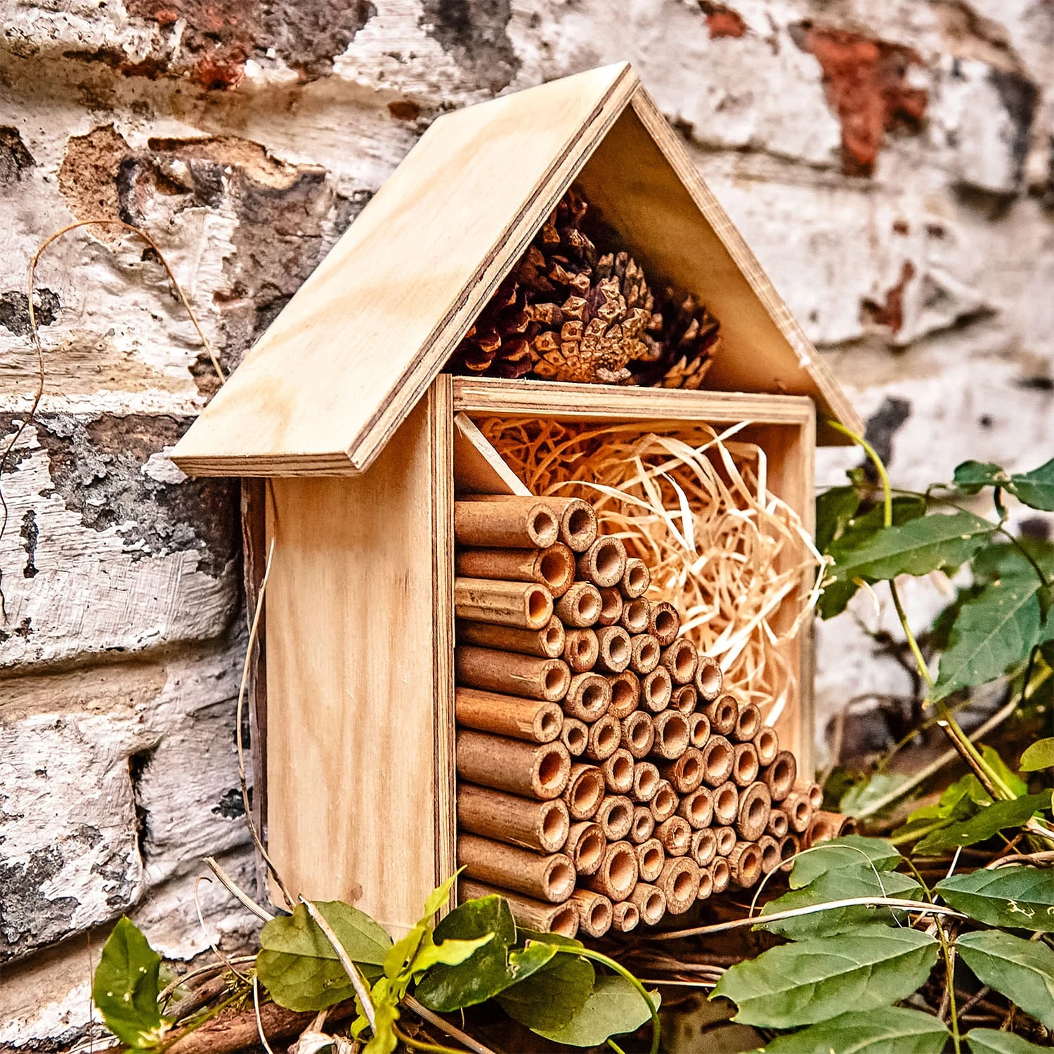 Bambusröhrchen 70 Stück Je 15 Cm Länge Holzfarben 5 Bambusröhrchen 70 Stück Je 15 Cm Länge Holzfarben – Bild 5